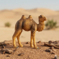 Preview: Handbemalte Krippenfigur Kamel klein, ca. 6 cm, K 004-17