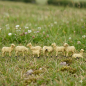 Preview: Krippenfiguren Schafherde 7-tlg., ca. 4,5 cm