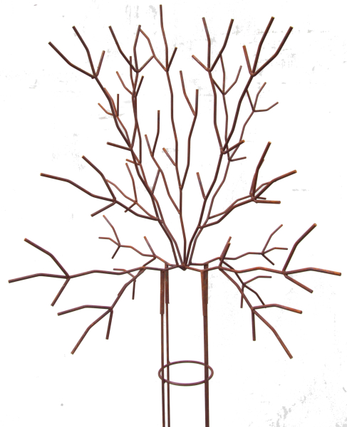 Wunderschöne Rankhilfe Baum - Höhe 210 cm