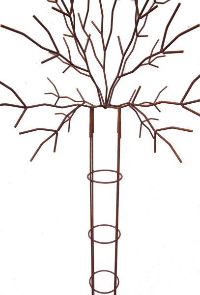 Wunderschöne Rankhilfe Baum - Höhe 210 cm