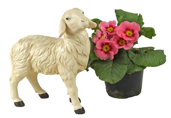 Schaffigur – Charmantes Naturdekor für Ihr Zuhause