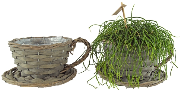 2er Set Natürliche Pflanztasse ca. 11 cm - Gartendekoration