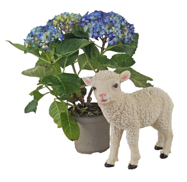 Preview: Dekoratives Lamm – Liebevolle Garten- und Wohnraumdekoration