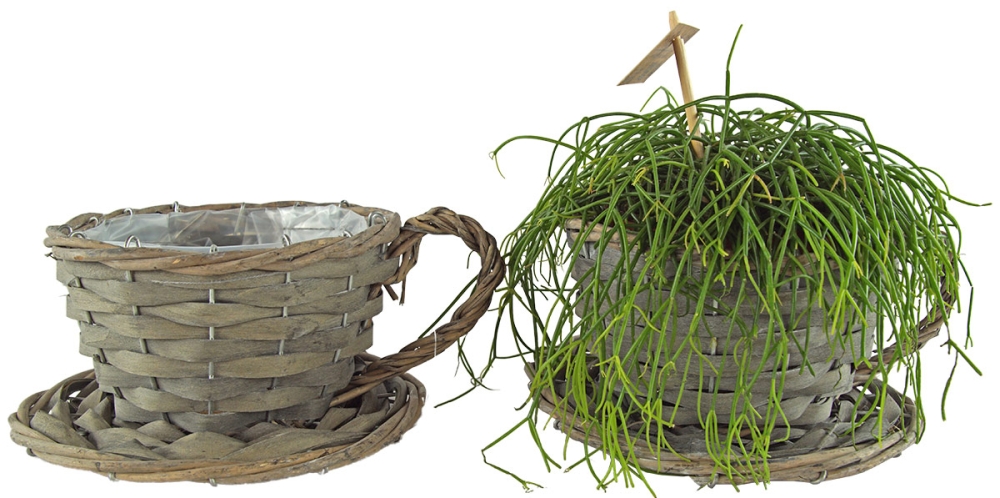 2er Set Natürliche Pflanztasse ca. 11 cm - Gartendekoration