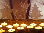 3er-Set Beetstecker Tannenbaum, Stern & Hirsch – stimmungsvolle Gartendeko in Braun